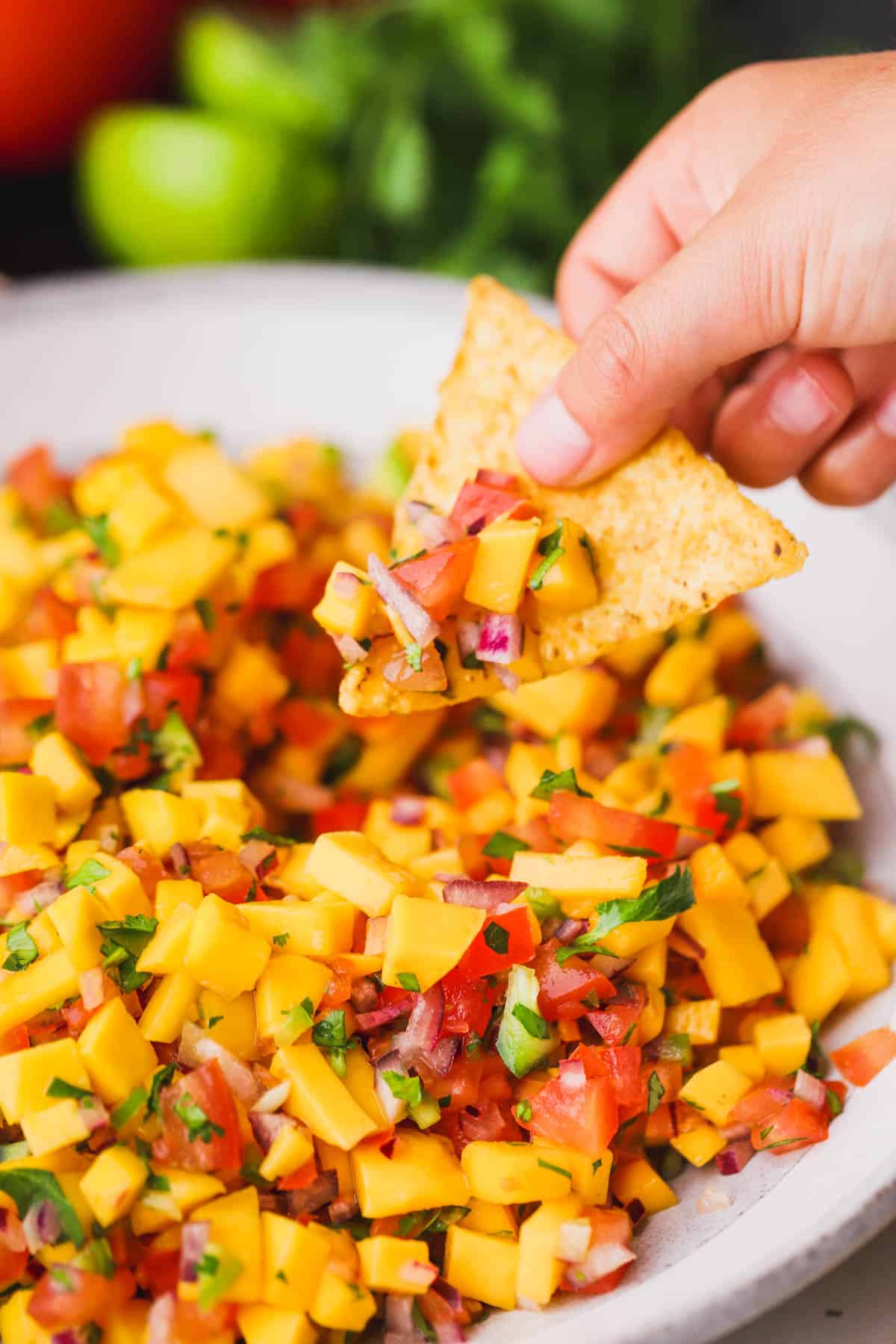 Tortilla chip dipped in fresh mango Pico de Gallo.  