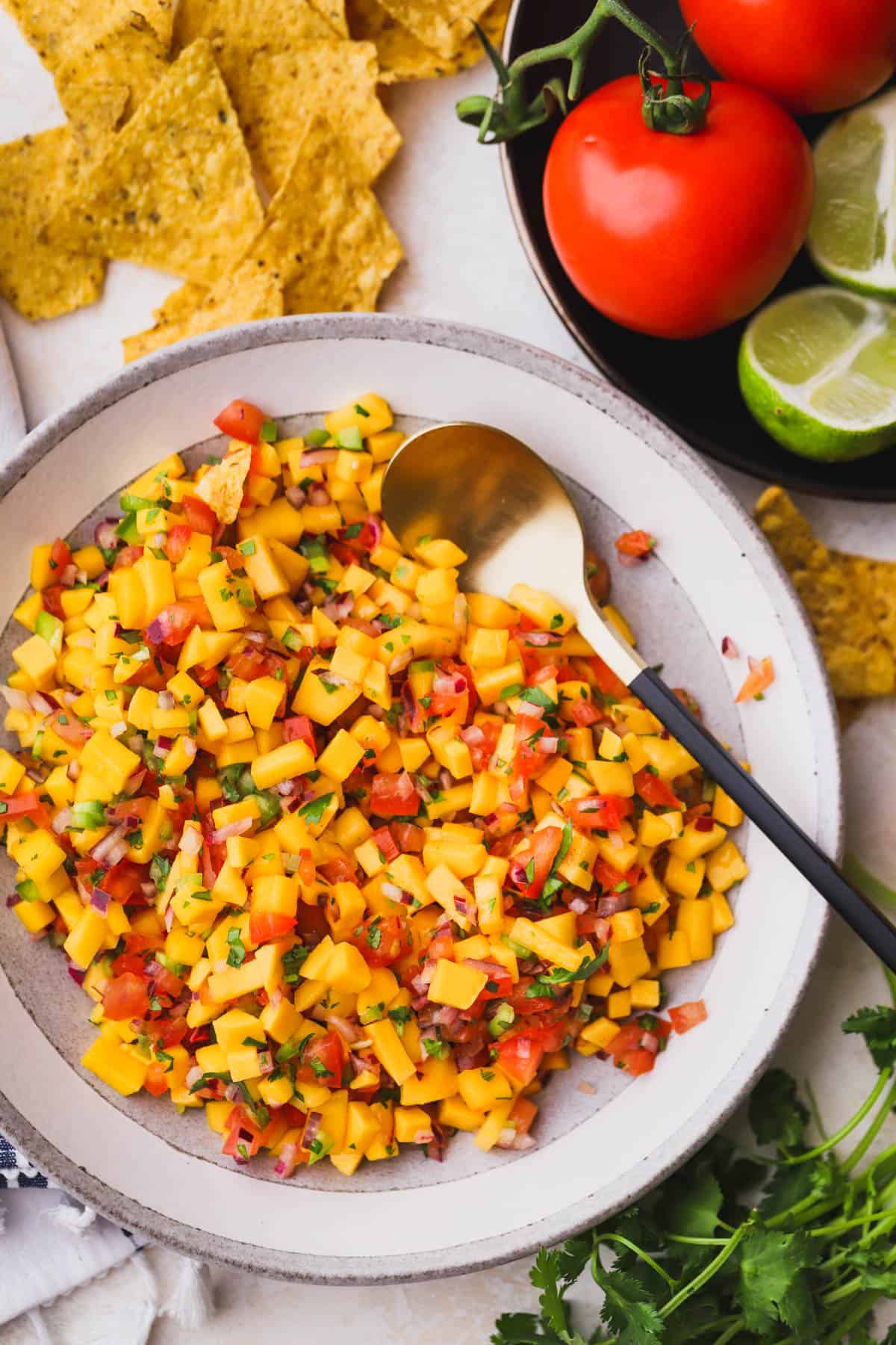 Mango Pico de Gallo with corn tortilla chips.