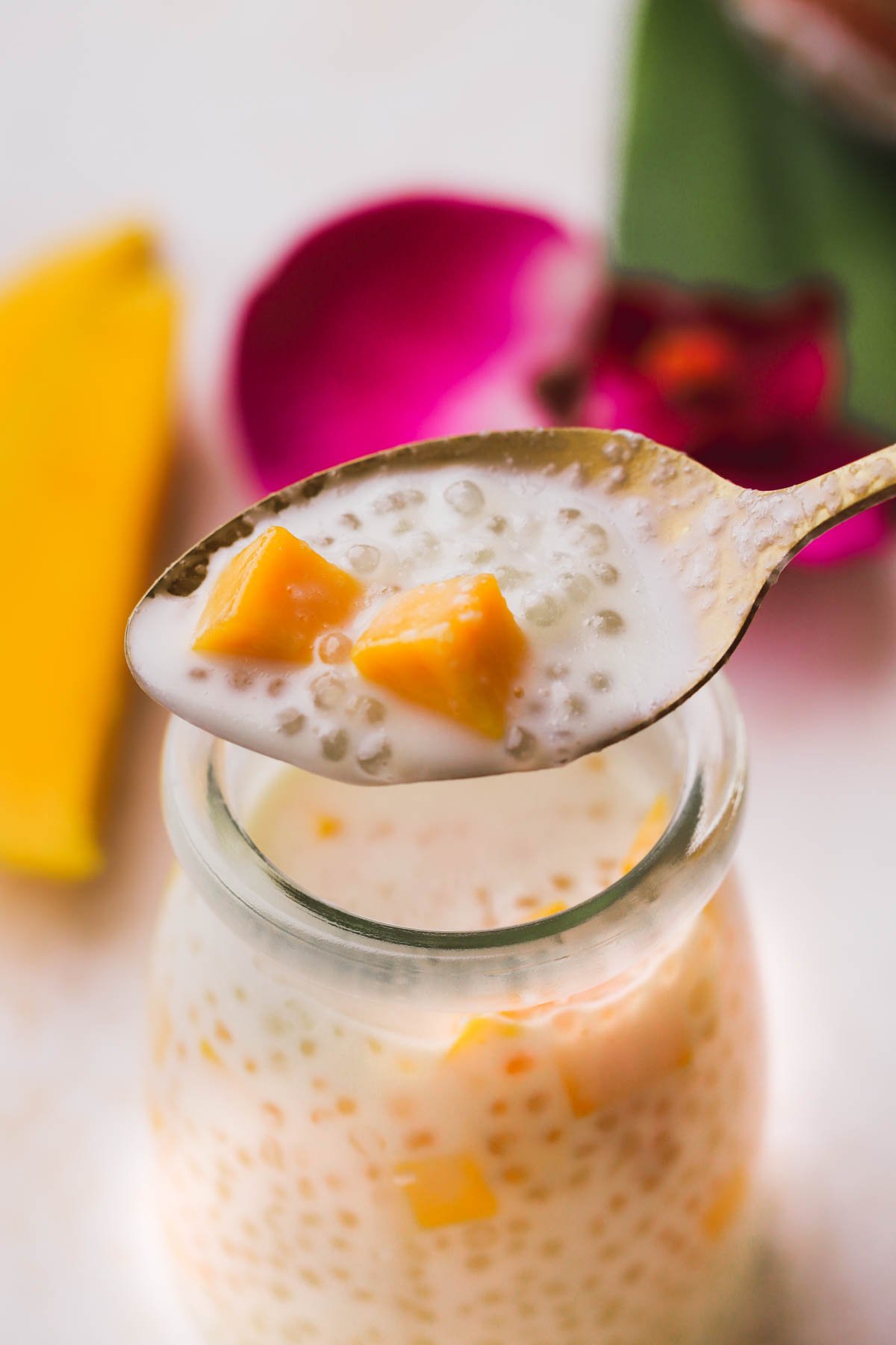 Spoonful of coconut sago with fresh mango.