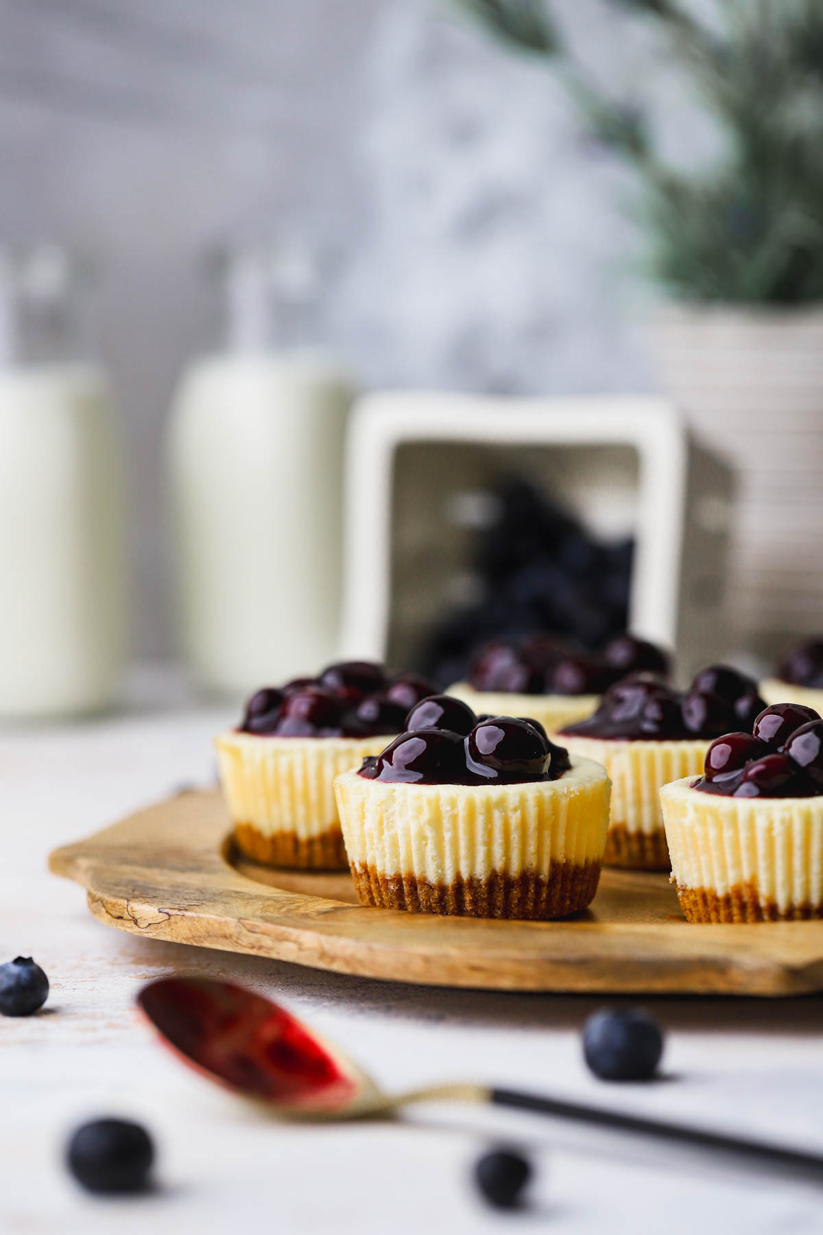 Mini blueberry cheesecake with homemade blueberry compote. 