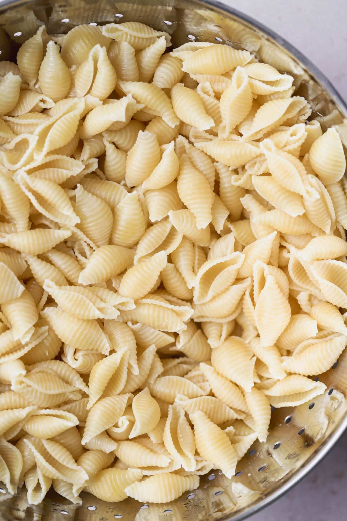 Cooked pasta shells.  