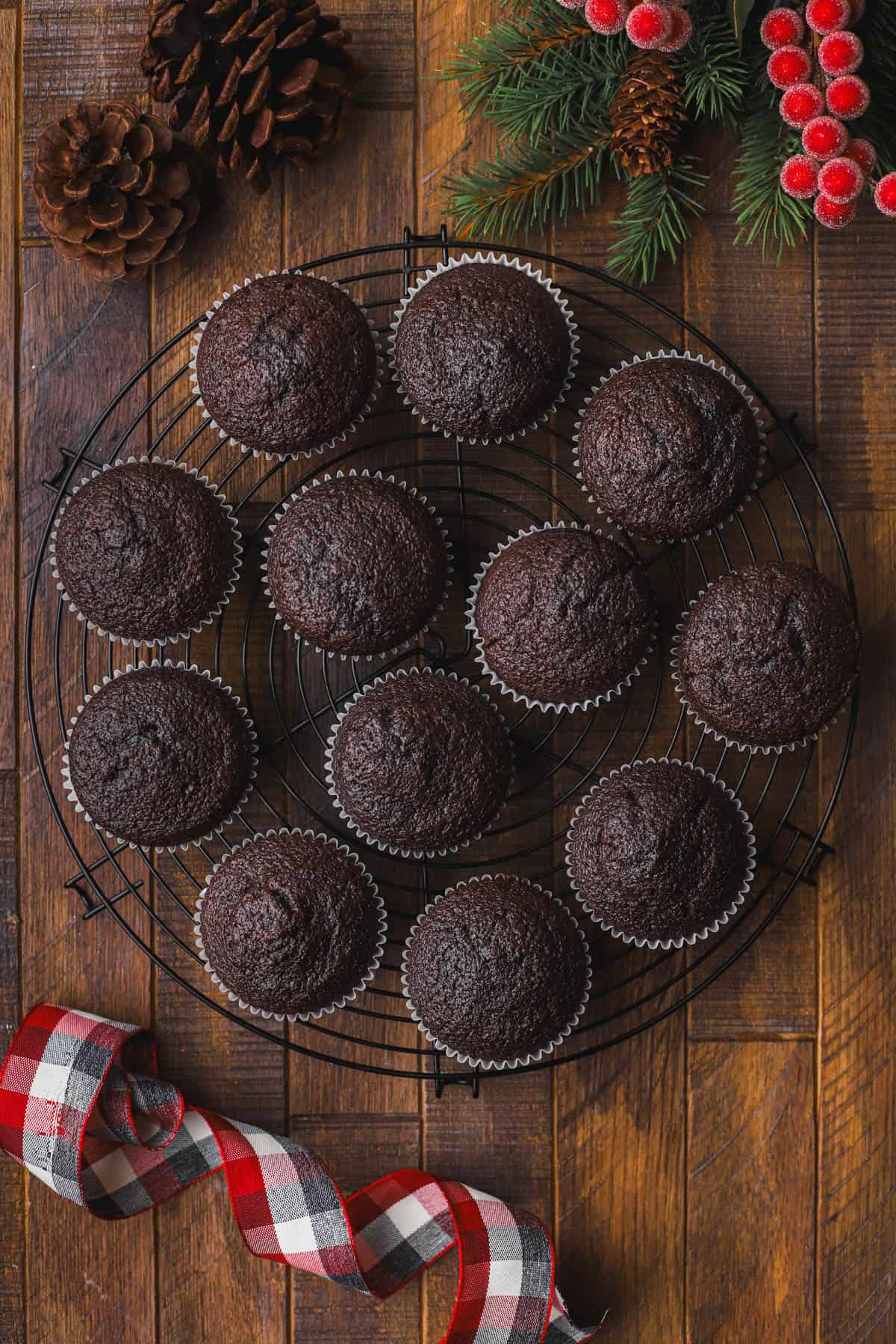 Devil's food cupcakes.