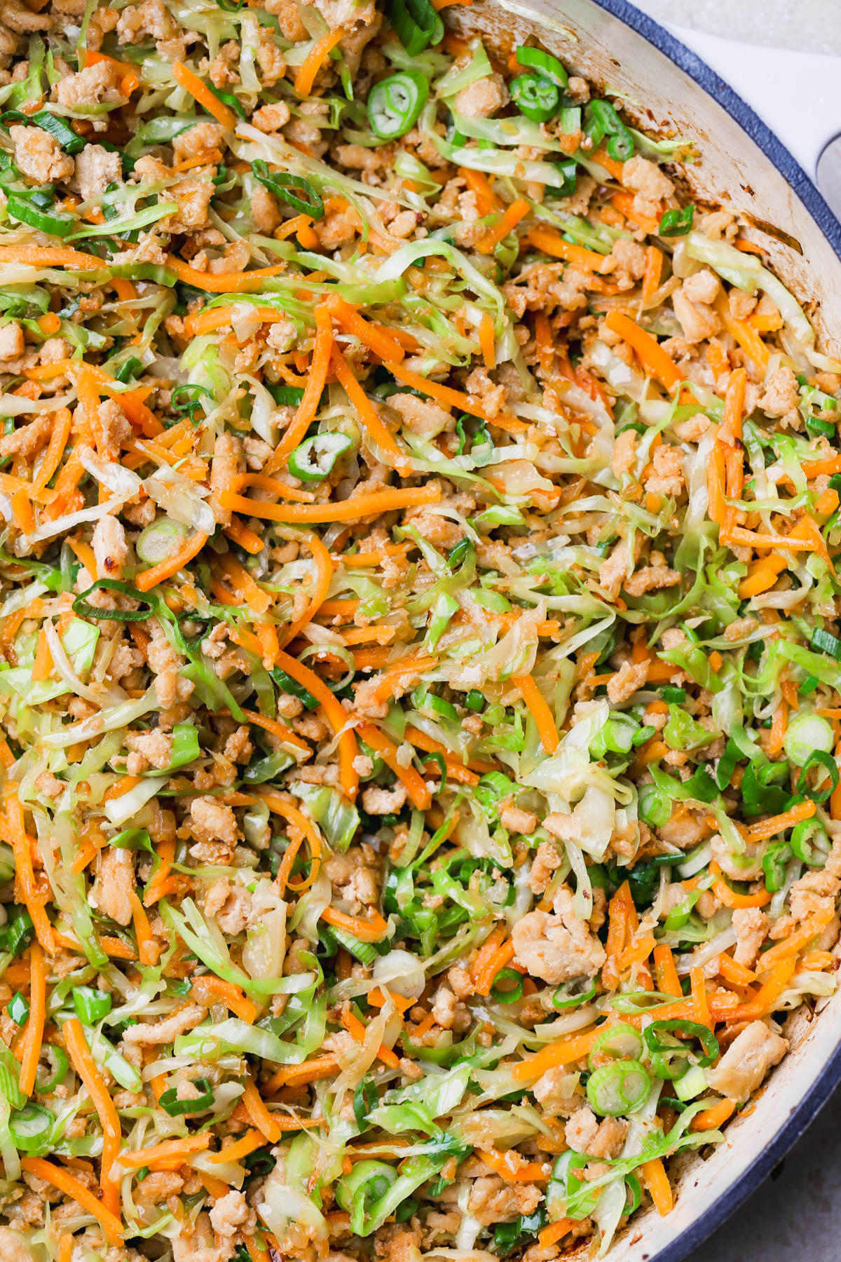Cooked ground chicken, sautéed cabbage, onions, garlic, ginger, carrots and green onions.  