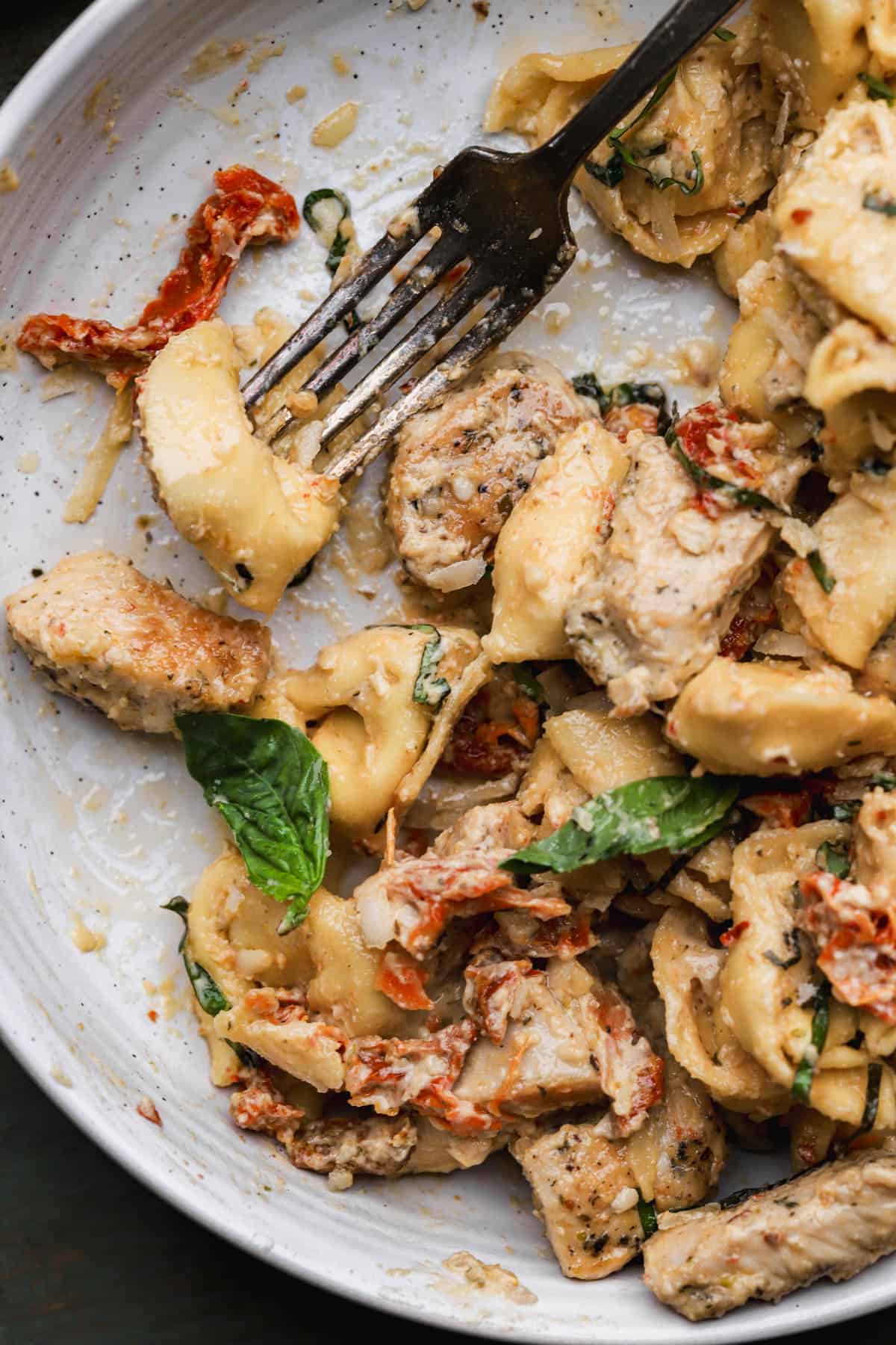 Tortellini with seared chicken, sun-dried tomatoes, basil and parmesan.  