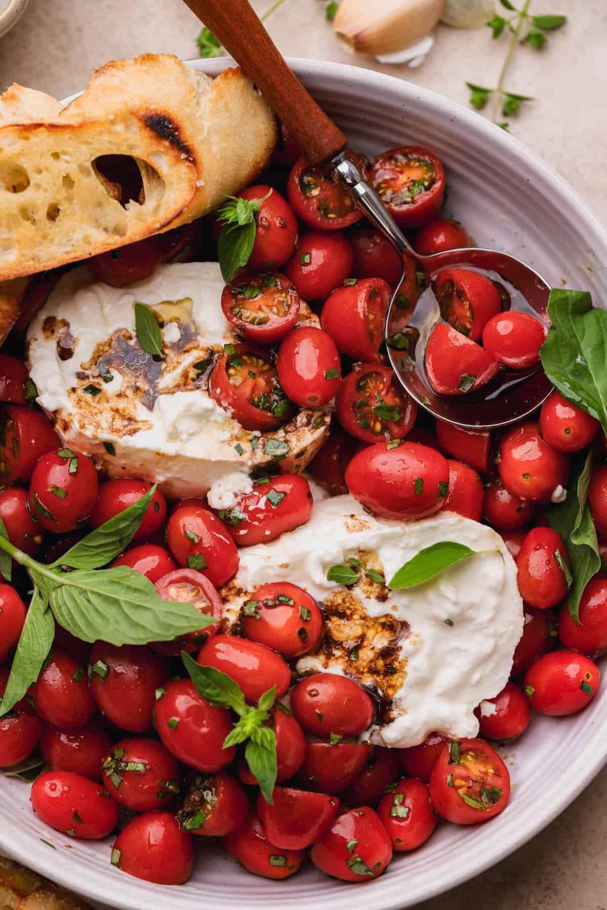 Burrata cheese caprese salad