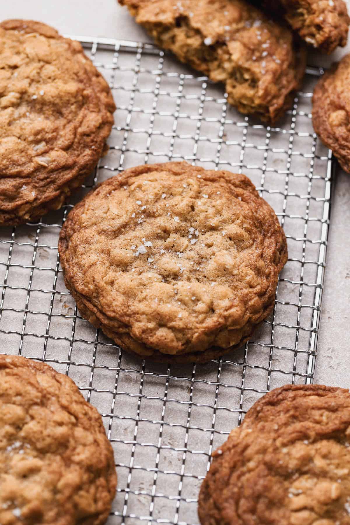 Oatmeal cookies with sea salt. 