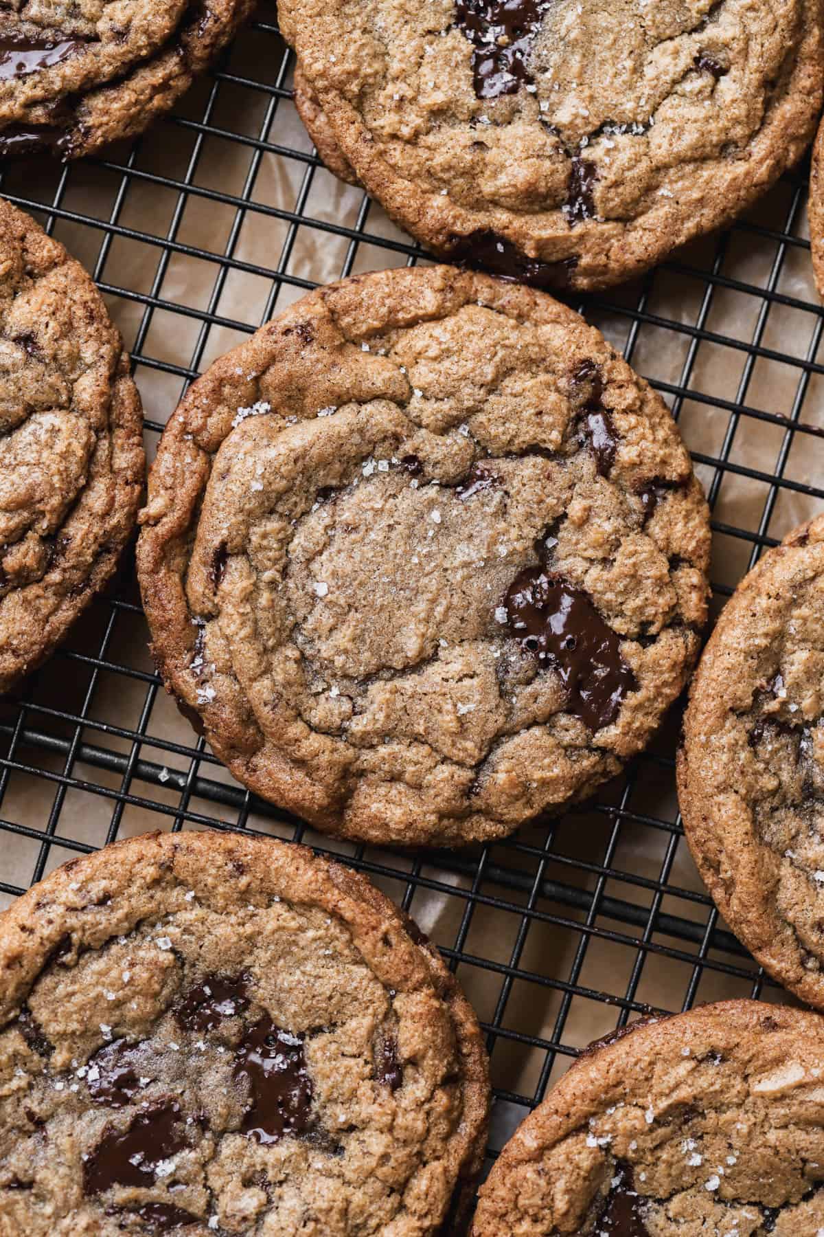 Cinnamon Chocolate Chip Cookies - The Epicurean Mouse