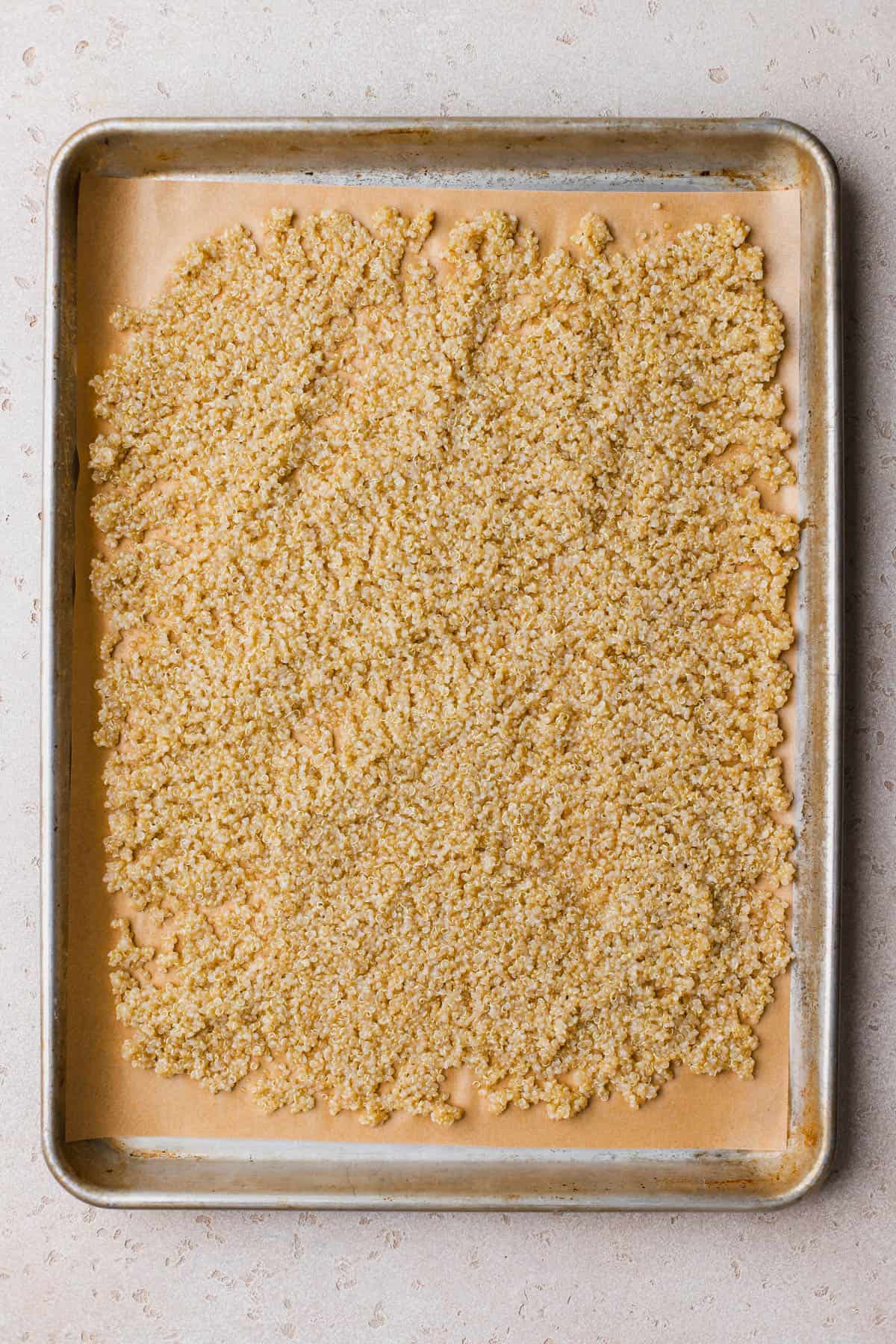 Cooked quinoa spread on top of parchment lined baking sheet. 