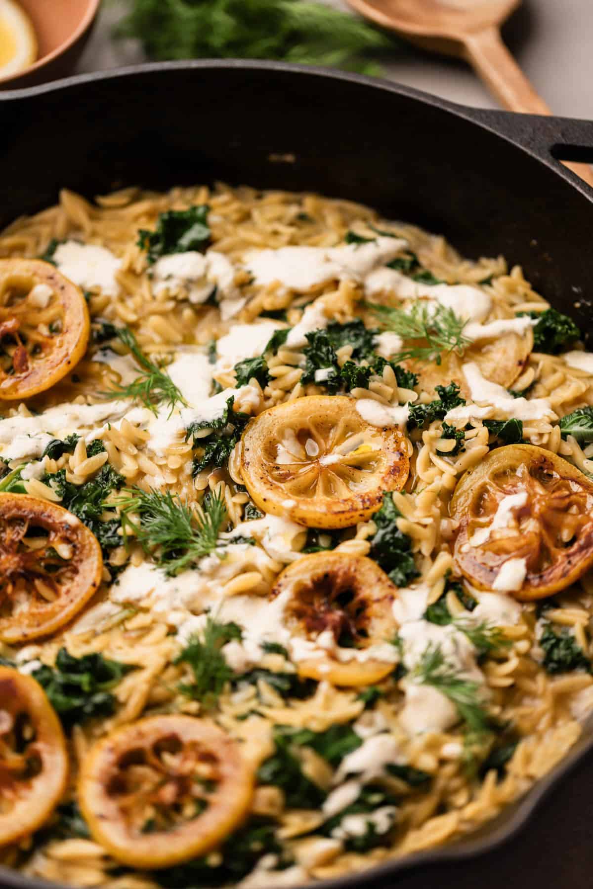 Lemon feta orzo with kale, lemon zest, lemon slices, dill and creamy feta sauce drizzled on top.  