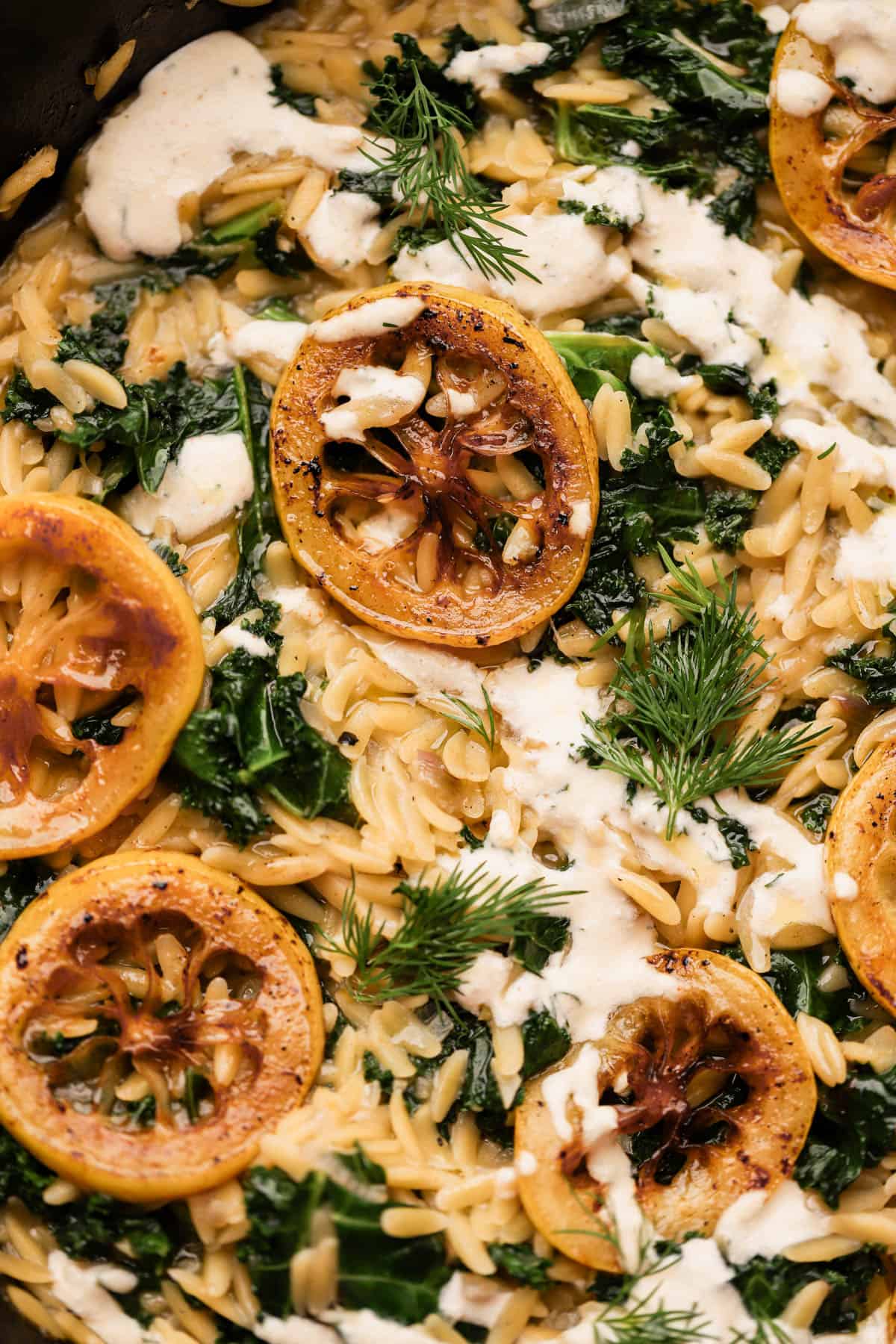 Lemon feta orzo with kale, lemon zest, lemon slices, dill and creamy feta sauce drizzled on top.  