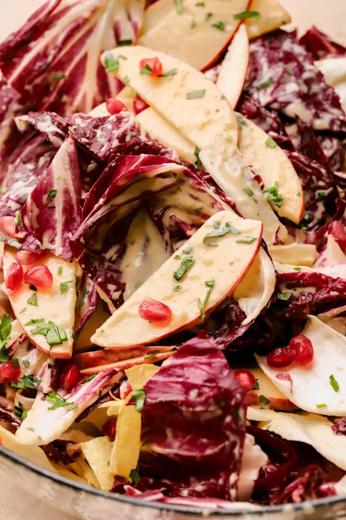 Balsamic grilled chicken salad with radicchio, endive, apples, pomegranates, walnuts, parmesan and maple-dijon dressing. 